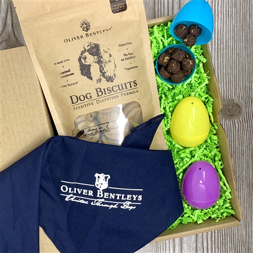 Ollie B. Easter Bunny Gift Set